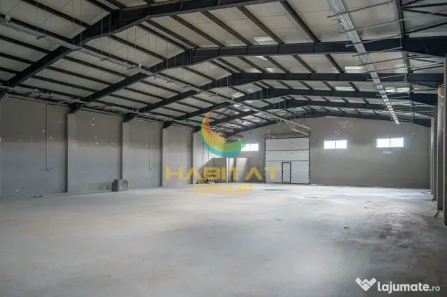 Hale 550 mp în Frumușani | Vânzare sau închiriere | 2 unități - Frumusani (Calarasi)