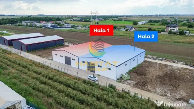 Hale 550 mp în Frumușani | Vânzare sau închiriere | 2 unități - Frumusani (Calarasi)