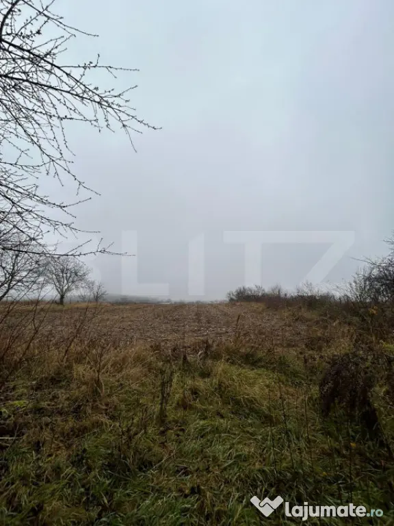 Teren Intravilan, 7.200mp - Zona Siliștea, Liteni - Suceava - Suceava (Suceava)