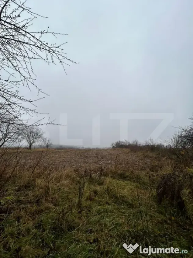 Teren Intravilan, 7.200mp - Zona Siliștea, Liteni - Suceava - Suceava (Suceava)
