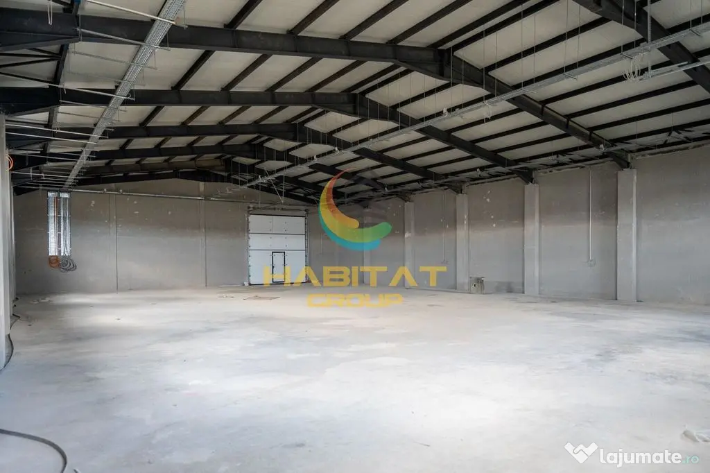 Hale 550 mp în Frumușani | Vânzare sau închiriere | 2 unități - Frumusani (Calarasi)
