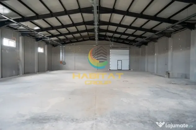 Hale 550 mp în Frumușani | Vânzare sau închiriere | 2 unități - Frumusani (Calarasi)
