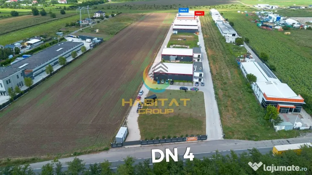 Hale 550 mp în Frumușani | Vânzare sau închiriere | 2 unități - Frumusani (Calarasi)