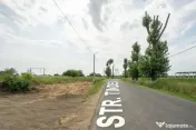 Teren Cernica,pentru Dezvoltare Rezidențială sau Industriala 