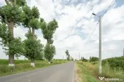 Teren Cernica,pentru Dezvoltare Rezidențială sau Industriala 