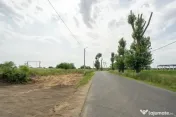 Teren Cernica,pentru Dezvoltare Rezidențială sau Industriala 