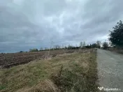 Teren intravilan de vânzare în Costinești – Oportunitat 