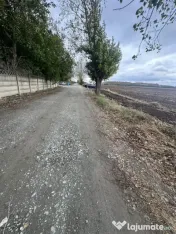 Teren intravilan de vânzare în Costinești – Oportunitat 