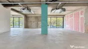 Spatiu comercial I Vad I Vitrina I Spatiu 360 MP 80 MP Gradina 