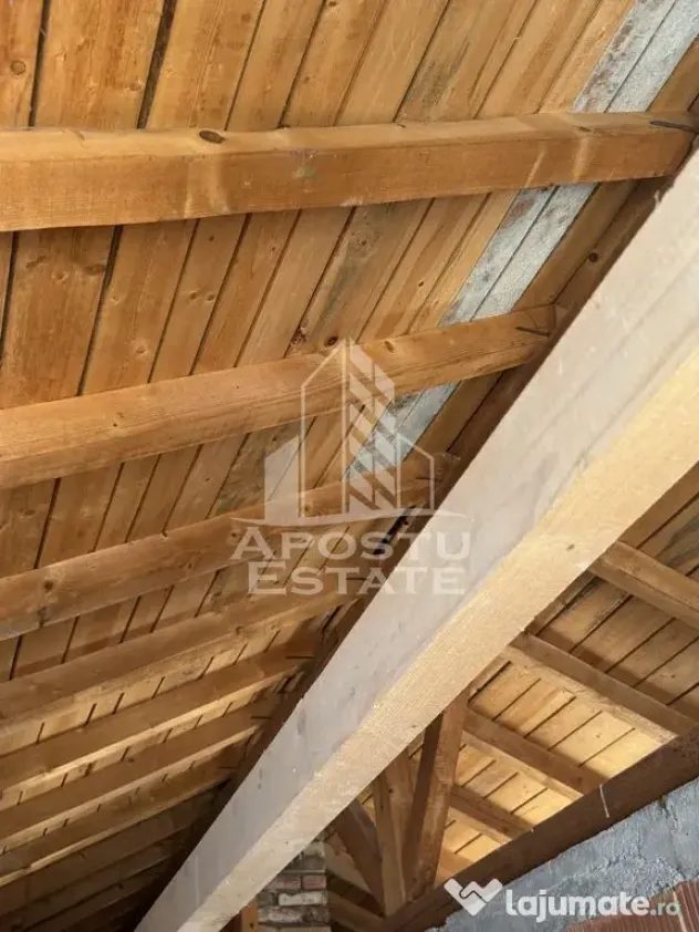 Casa individuala in RECAS - Recas (Timis)