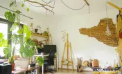 Apartament 2 camere la casa, cu gradina proprie, Central Bra 