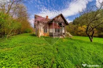 Casă de vacanta intr-o locatie de vis de vanzare in Carand,Romania