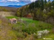 Casă de vacanta intr-o locatie de vis de vanzare in Carand,Romania 
