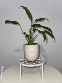 Set 6 suporturi metalice pentru ghivece / plante, albe (NOI, în cutie)