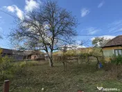 Casă cu 3 camere și un teren de 35,50 mp 