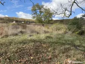 Casă cu 3 camere și un teren de 35,50 mp 