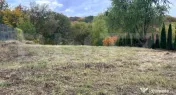 Blitz - Teren Făget 816 mp, cu autorizație de construire!