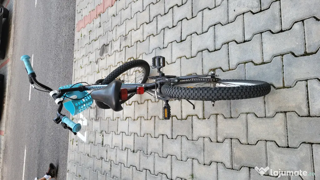 Bicicleta copii 20 inchi