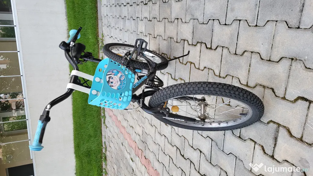 Bicicleta copii 20 inchi