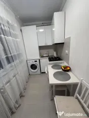 Dimitrie Leonida parter cu gradina 