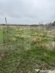 Teren intravilan de vanzare, 2362mp Brădești Dolj 