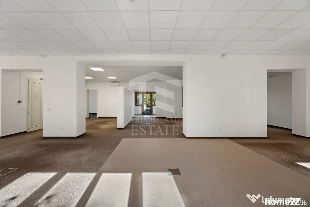 ULTRACENTRAL | Spatiu Comercial 851mp | Constr 2016 | Stare impecabila - Timisoara (Timis)