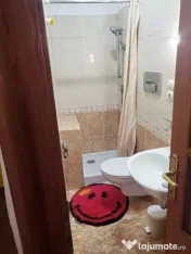 Garsoniera Cismigiu - Ion Campineanu - Centrala de bloc!