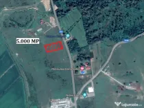 Teren 5000 mp in Sebis - ID : RH-33576-property