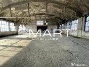 Teren intravilan 16000 mp + hale Calea Surii Mici 