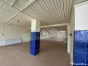 Proprietate cu 2 cladiri zona Parneava - ID : RH-36068 