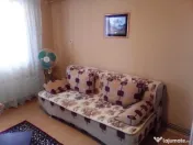 Apartament 1 camera Bucovina 