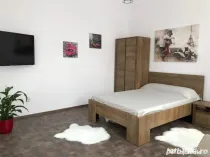 1 camera n zona buna si linistita - str. Bogdnestilor