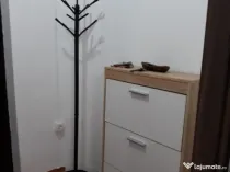 Garsoniera zona centrala, Take Ionescu