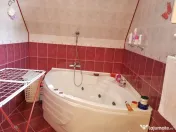 Satu Nou de Jos, proprietate deosebita 