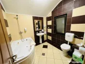 Vila P+E, Alexandru cel Bun 