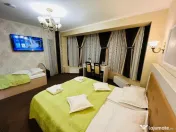 Vila P+E, Alexandru cel Bun 