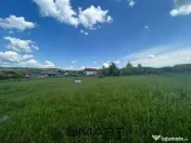 Casa Hamba 250 mp utili 2000 m teren 