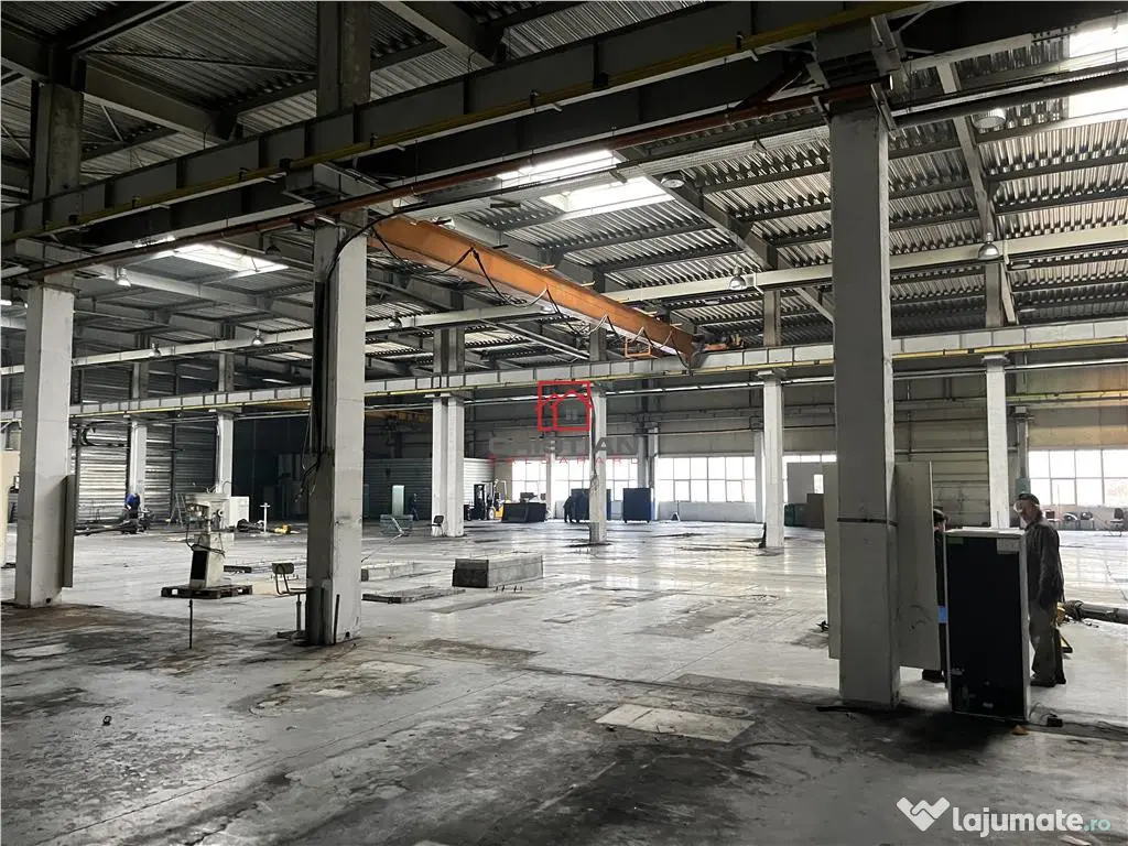 Depozit/hala/spatiu industrial Militari - Timisoara
