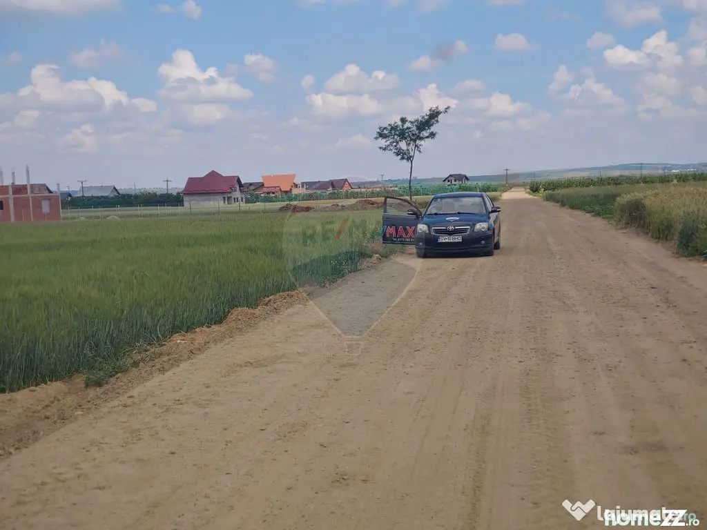 Teren intravilan 6,600mp Dumbraveni / Strada Principala s...