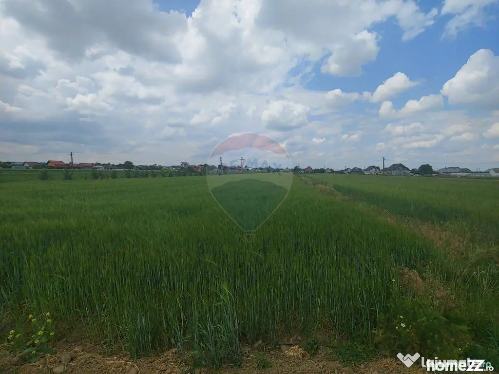Teren intravilan 6,600mp Dumbraveni / Strada Principala s...