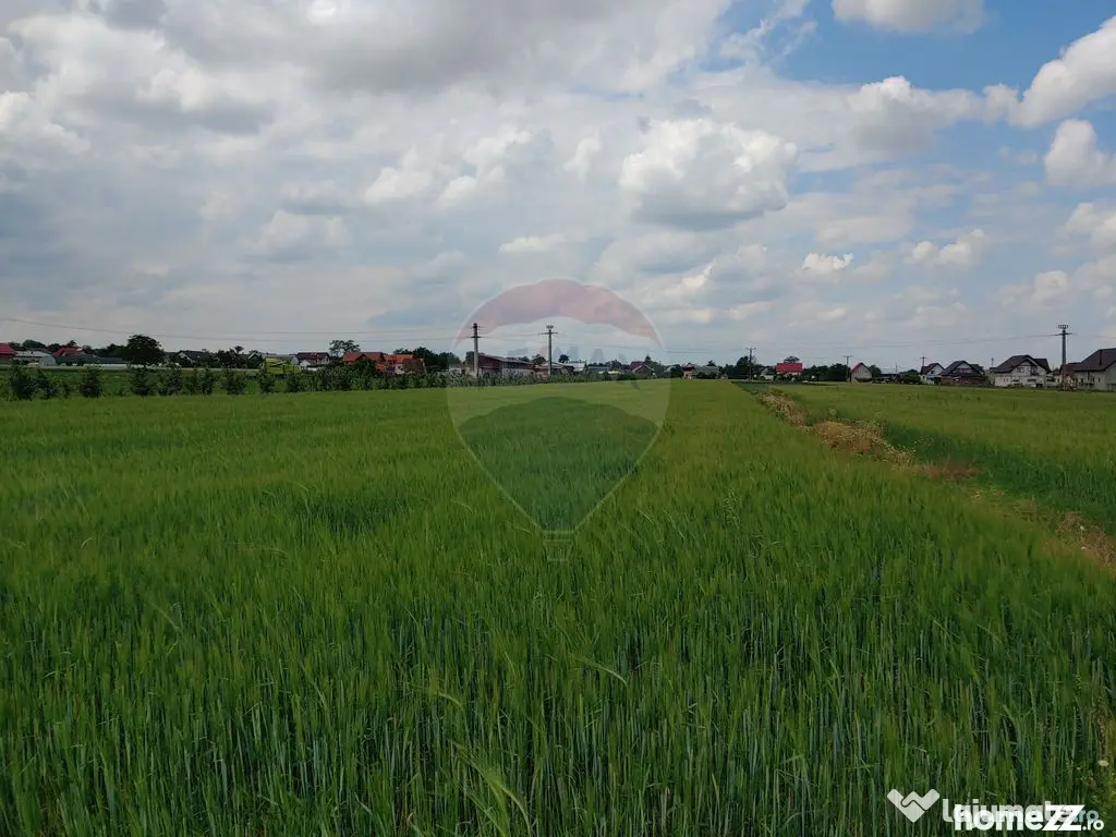 Teren intravilan 6,600mp Dumbraveni / Strada Principala s...