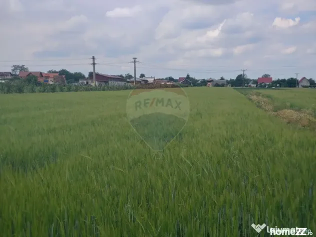 Teren intravilan 6,600mp Dumbraveni / Strada Principala s...