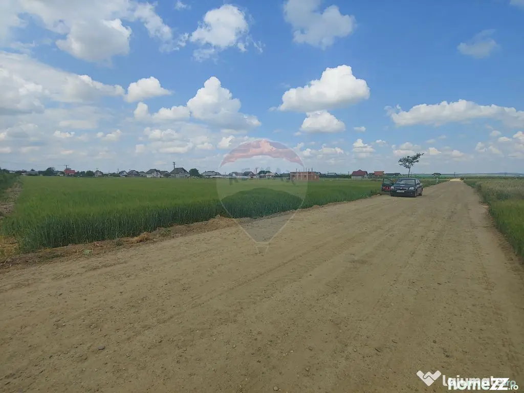 Teren intravilan 6,600mp Dumbraveni / Strada Principala s...