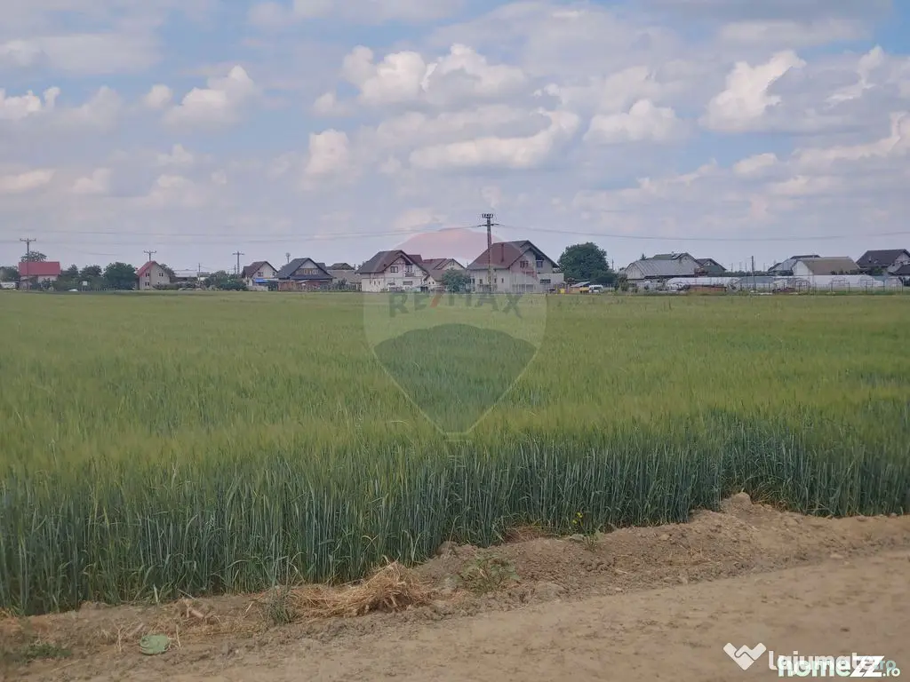 Teren intravilan 6,600mp Dumbraveni / Strada Principala s...