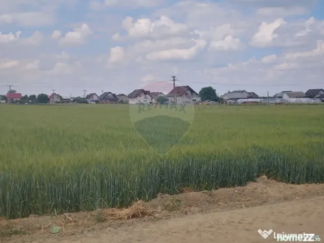 Teren intravilan 6,600mp Dumbraveni / Strada Principala s...