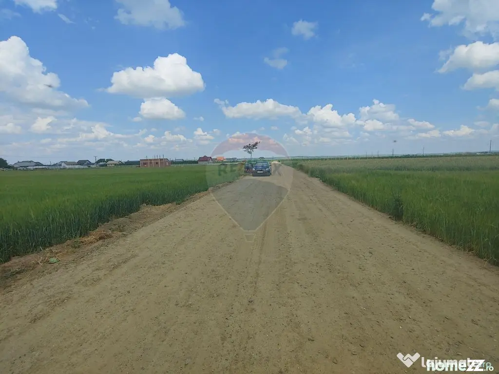 Teren intravilan 6,600mp Dumbraveni / Strada Principala s...