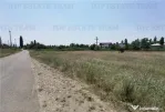 Teren intravilan 17.500mp Chitila - Oxigenului