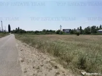 Teren intravilan 17.500mp Chitila - Oxigenului