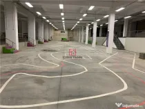 Depozit/hala/spatiu industrial Politehnica - Apaca