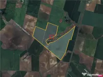 Teren Peris - Crevedia, Ilfov